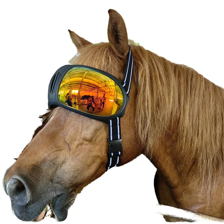 Large horse goggles UV protection Camel glasses Tiger Donkey Cow pet sunglasses Windproof sand