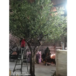 Custom 6Ft High Artificial Olive Tree Made From Fiberglass  With Plastic  Branch Material Olive Tree For Hotel Decoration