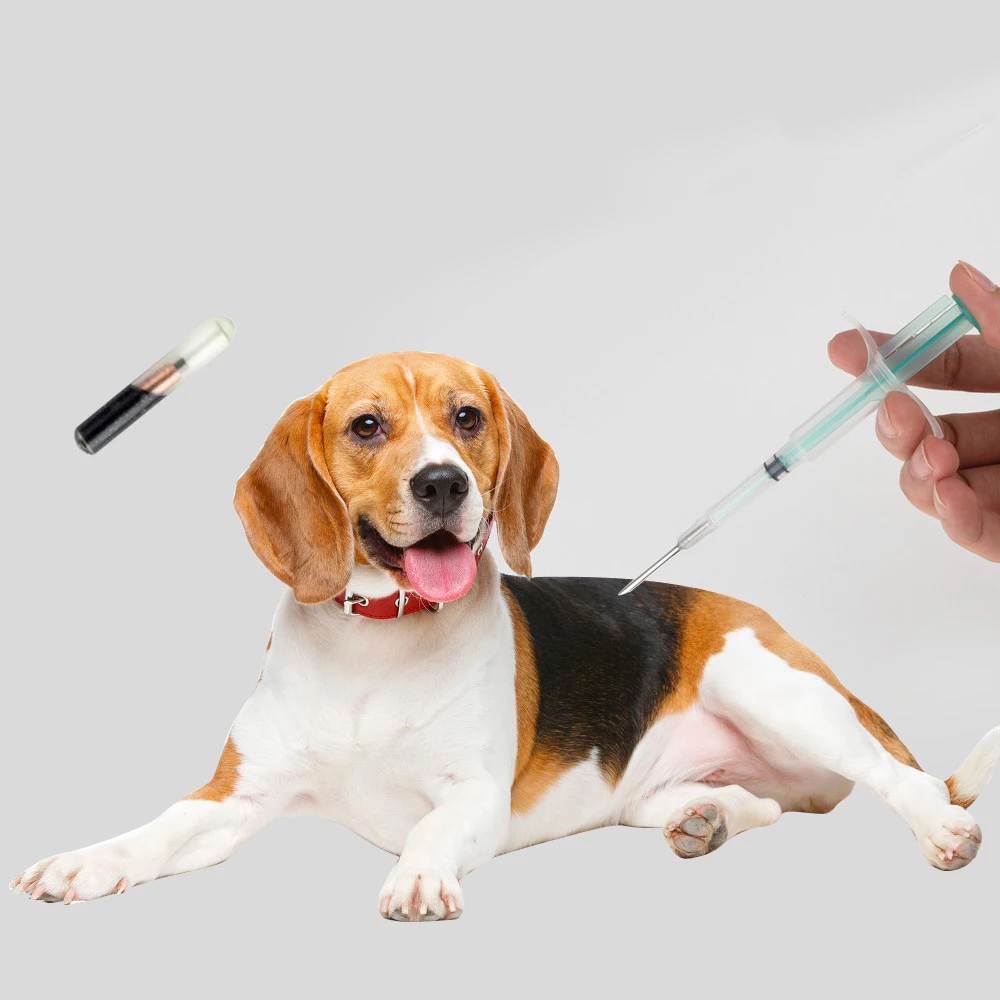 RFID Injectable Chip 134.2khz for Dog, Cat, and Fish