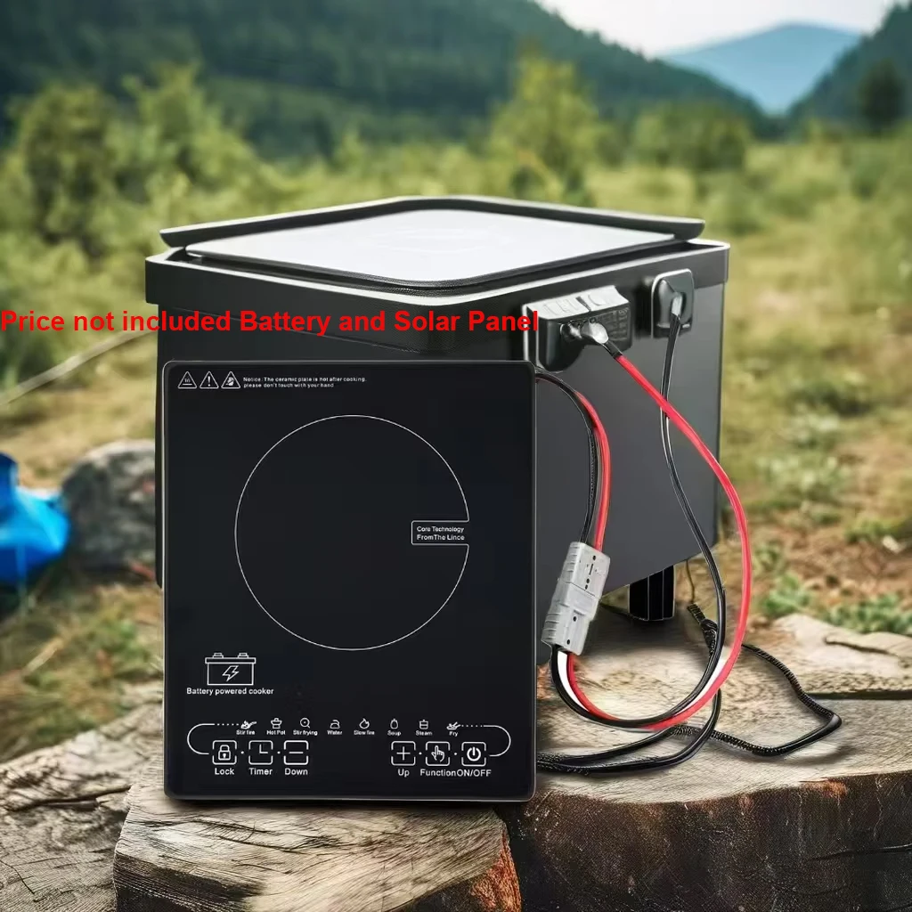 Competitive Price OEM/ODM Solar Single Hotpot Cookware DC24V 48V Induction Cooker Cooktop Cooking Stove