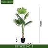 120CM/Sabal