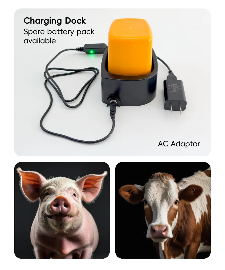 Other product images