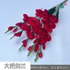 Large bunch of gladiolus YM red