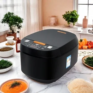 Smart 5L Non-Stick Rice Cooker Large Multi-Purpose Direct Shipment China Factory Household Electric Plastic Direct Source