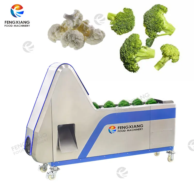 Automatic Vegetable Cutting Machine for Cauliflower & Broccoli Florets Motor As Core Component