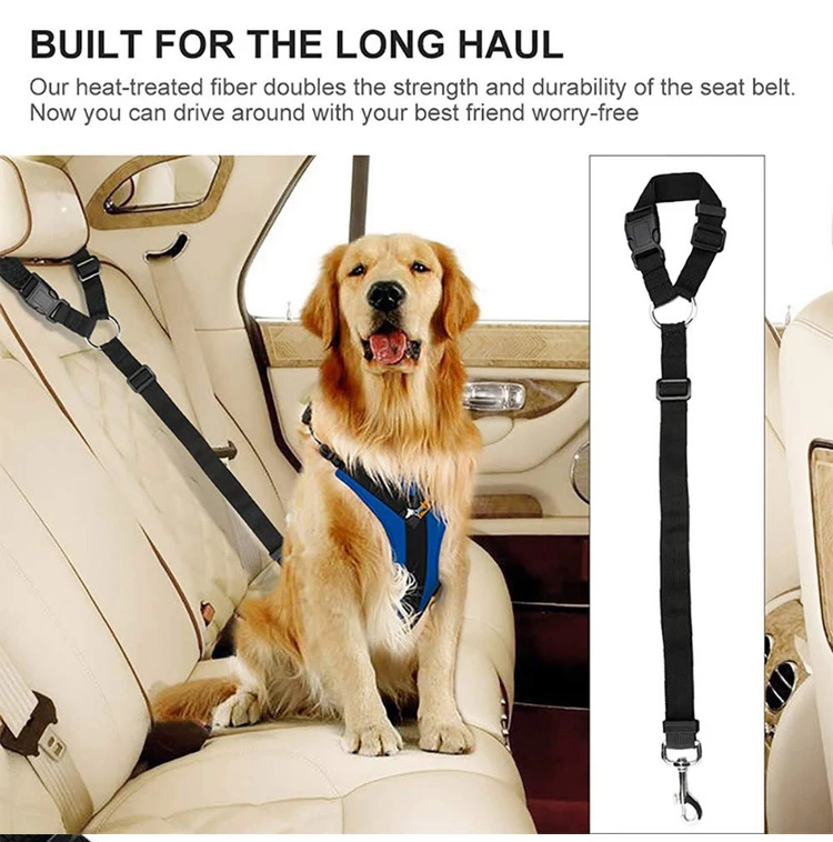 Fashion Attractive Design Seat Belt Dog Leash for Outdoor All Seasons