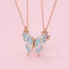 Blue+gold