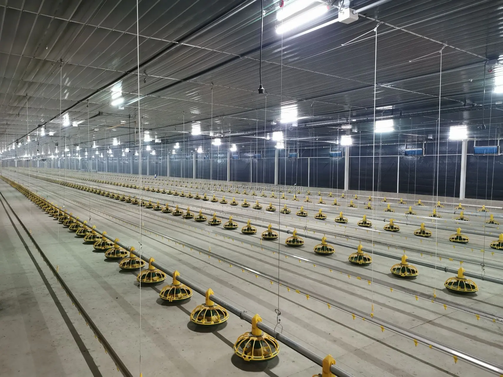 Automatic Poultry Farming Equipment Chicken Pan Feeding System For