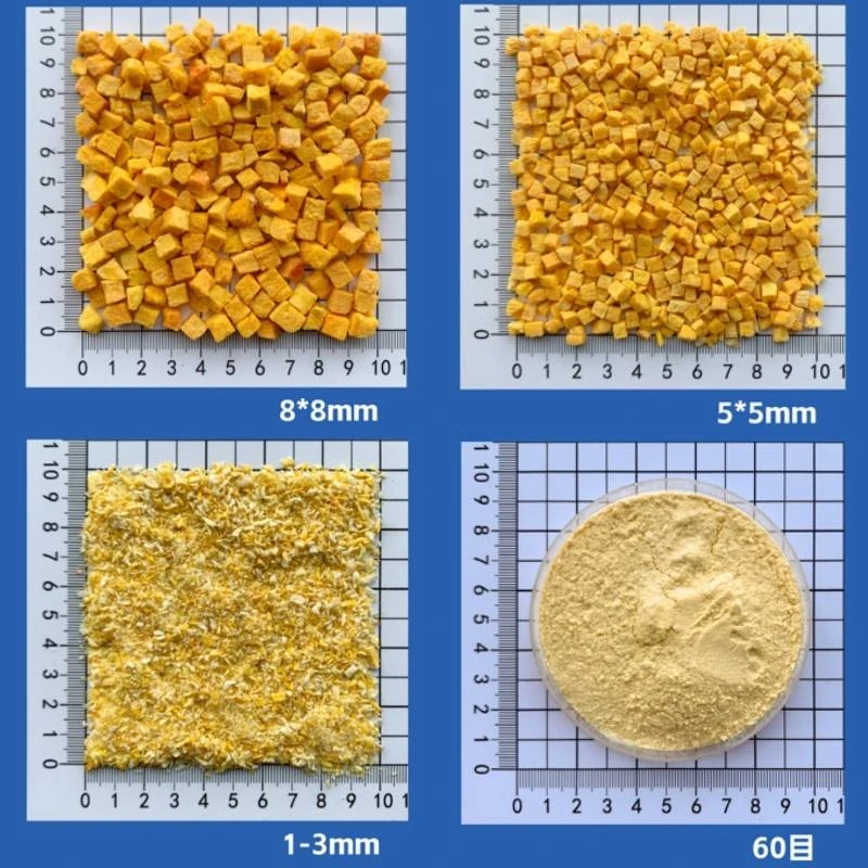 China Freeze Dried Pumpkin Factory | Bulk Wholesale Hc7091931beee44dea4904a0f2034aa994