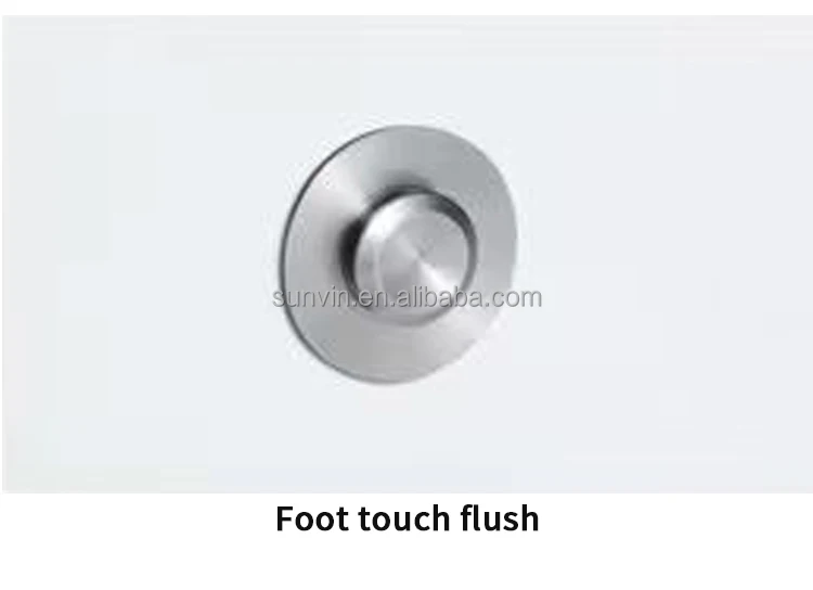 Ceramic S-Trap Siphonic One -Piece Toilet Hotel Bathroom Sanitaryware Smart Toilet Seat Light Luxury Public Toilet