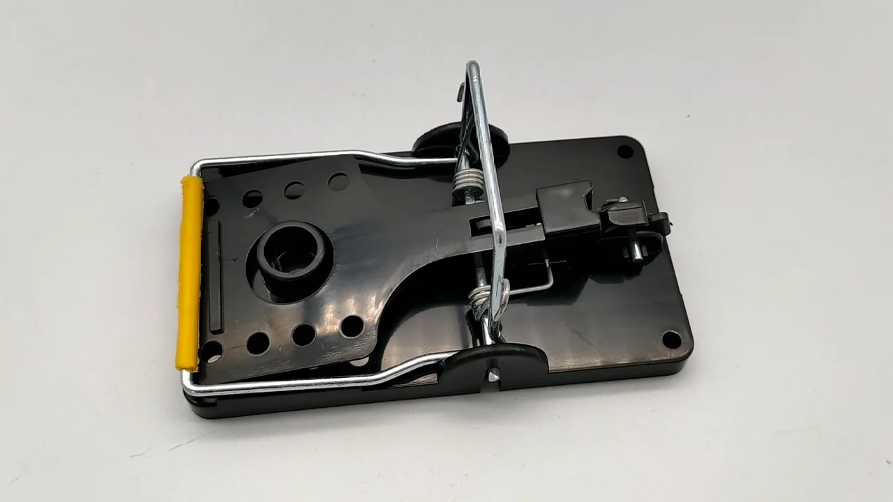 live hunting trap catch alive survival mouse bird snare trap