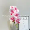 Orquídea Phalaenopsis de 7 cabezas con corazón blanco y color rosa