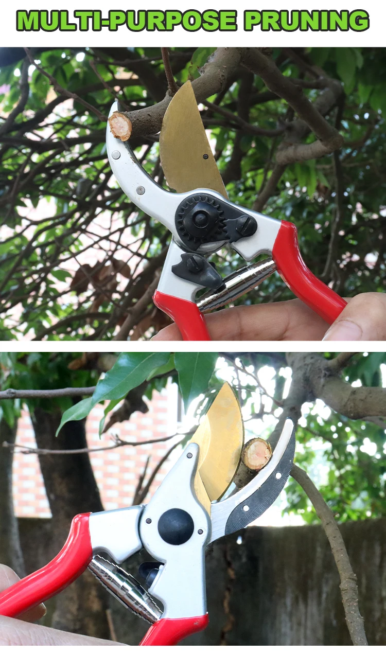 Sunshine Bypass Pruning Shear Cutter Volute Spring Ergonomic Design Fit ...