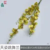 Dancing Orchid DG, light yellow