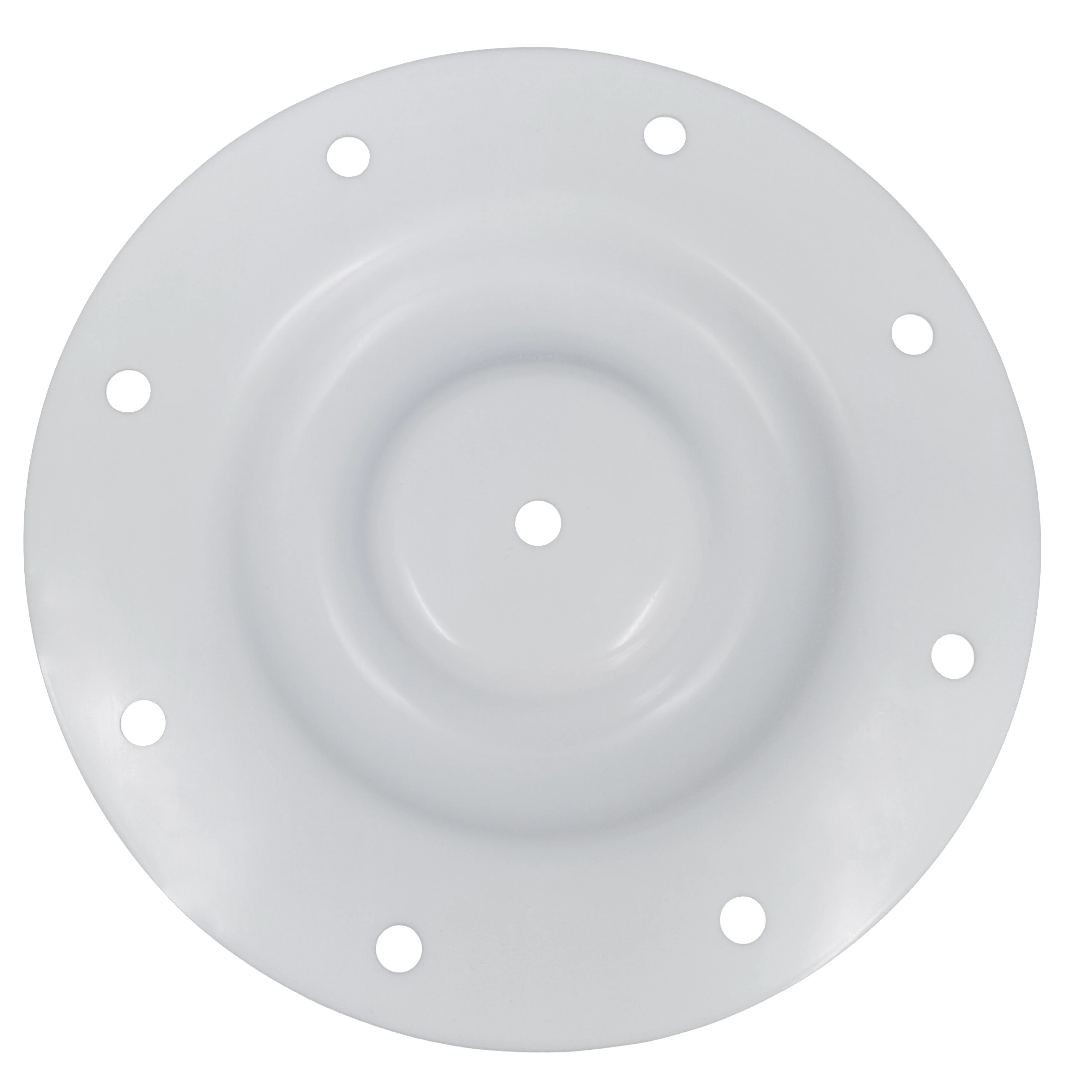 CFV183-TF PTFE diaphragm