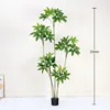 Arbre à monnaie 210cm