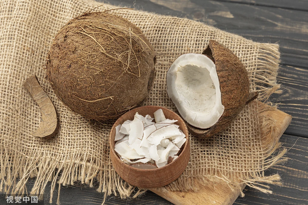 Freeze Dried Coconut Flakes for Wholesale | Bulk B2B Supply Hc723d4522fd34696aeed772a1a154969M
