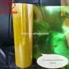 chameleon yellow