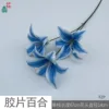 Film Lily FZP Blue