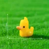 Little Yellow Duck