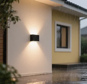 LED Outdoor Wall Light Fixtures Waterproof Modern Wall Sconce for Garden and Backyard