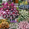 # Mixed color