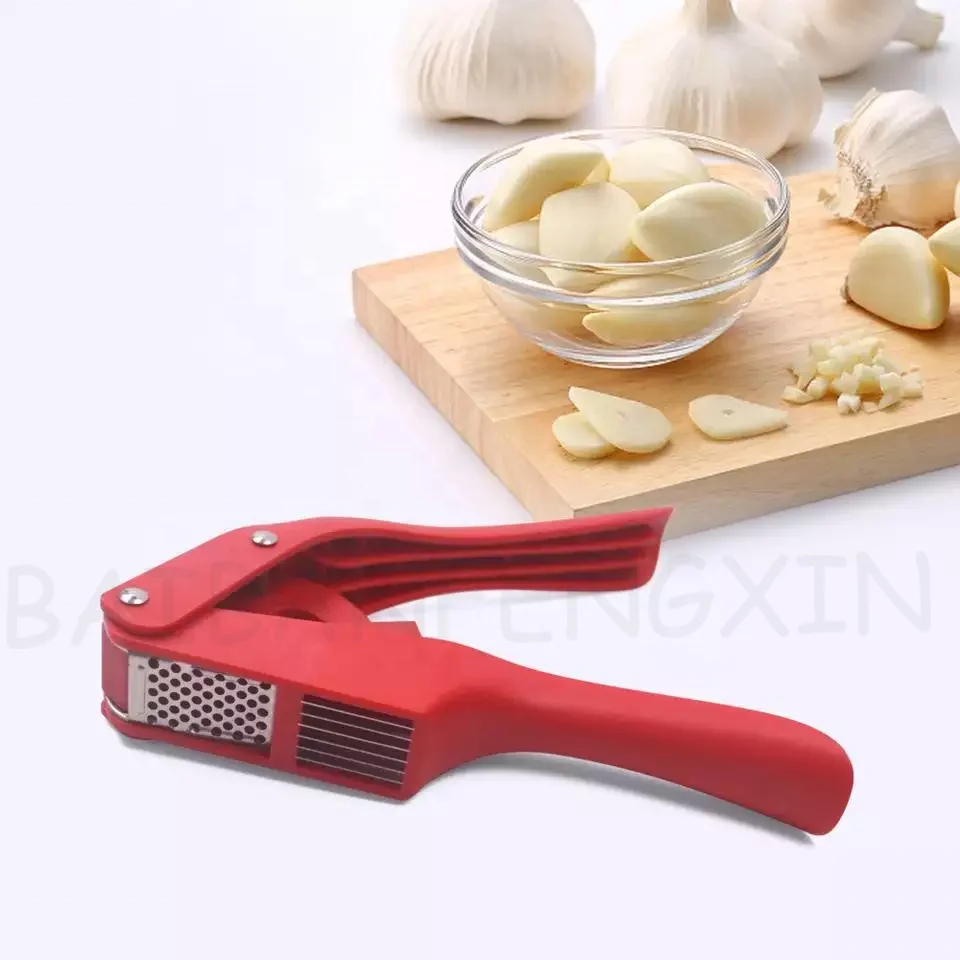 High Quality 2 in 1 Manual Stainless Steel Garlic Press Handheld Ginger Mincer Product Home and Kitchen Gadgets