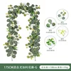 180cm mixed eucalyptus rattan G