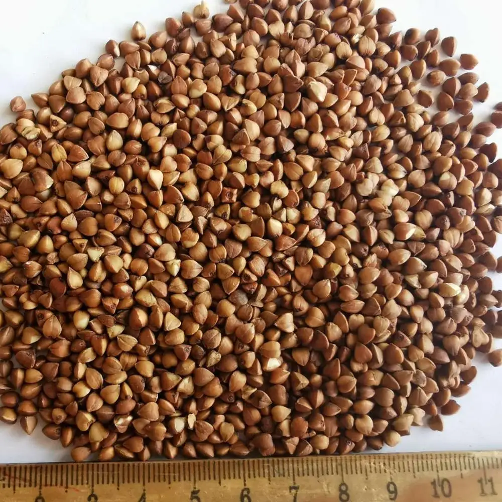 Unhulled With Best Quality and Competitive Price BUCK WHEAT Grain  Roasted Buckwheat Kernel