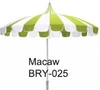 Macaw/White