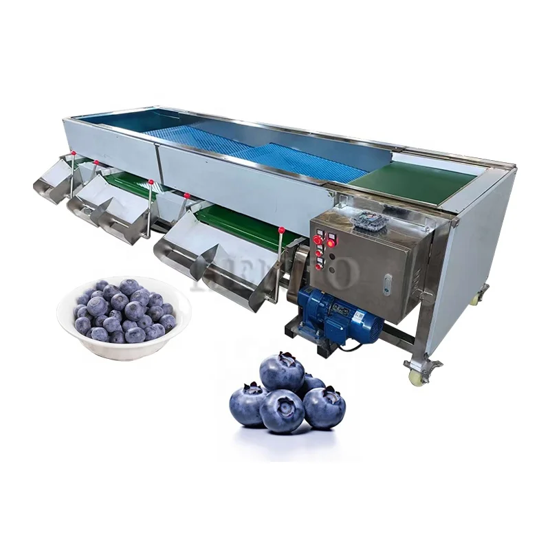 Alibaba.com: Automatic blueberry sorting machine with diameter-based ...