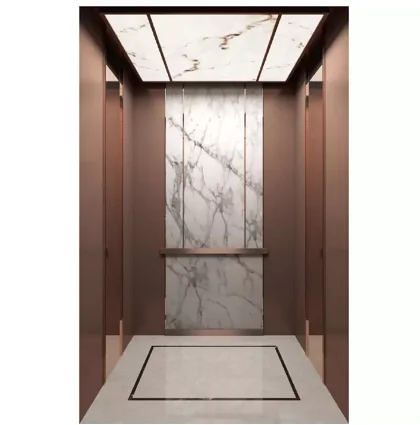 630kg Elevator 1050kg Load VVVF Control Residential Passenger Elevator Lift Price ARD Function Lift