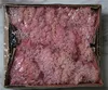 H-04 Pink