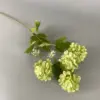 Ortensia da sogno