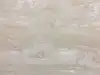 Sliver