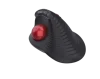 ratón de bola roja