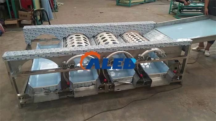 Cheap apple Orange Size Sorting Machine Fruit Washing Machine and Sorting Machine