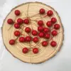 Petits fruits rouges, 11mm,20 pièces/sachet