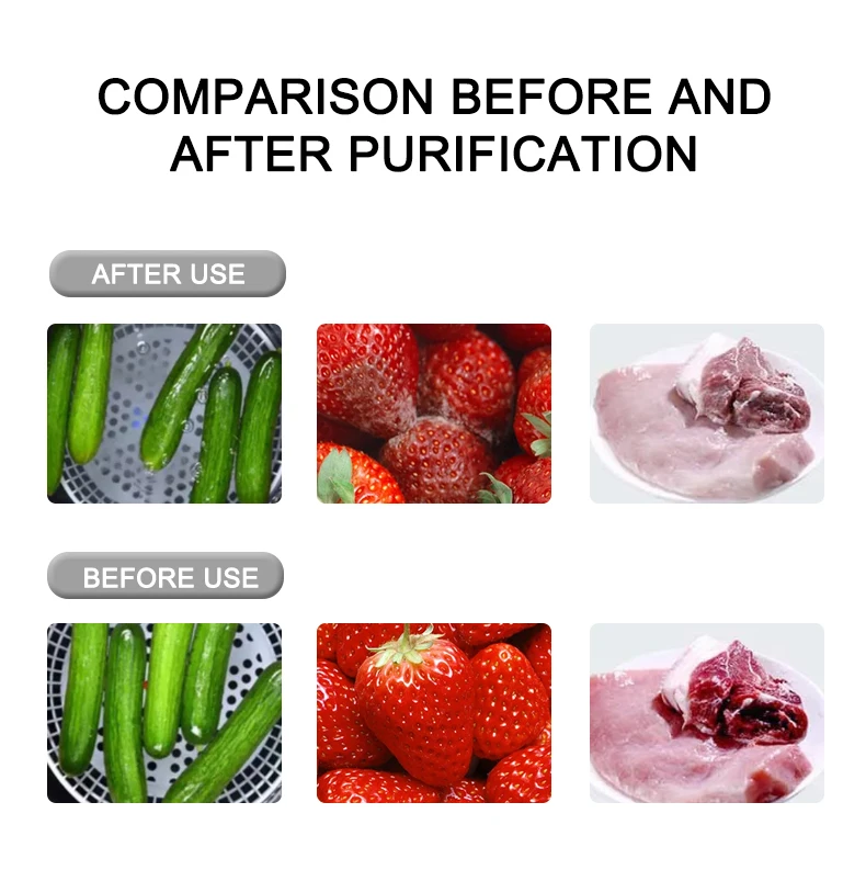 Wall Mounted Electrolysis Household Food Cleaner Fruit And Vegetable