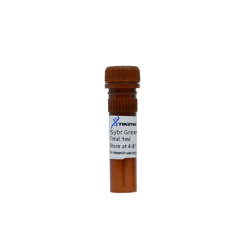 Sybr green краситель. Sybr green механизм. Ethidium bromide. Sybr green краситель. Sybr.
