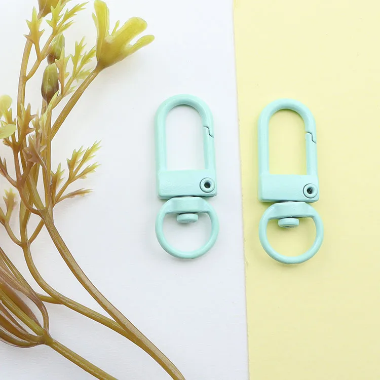Professional Macron Color Cute Key Chain and Gift Souvenir Metal Keychains