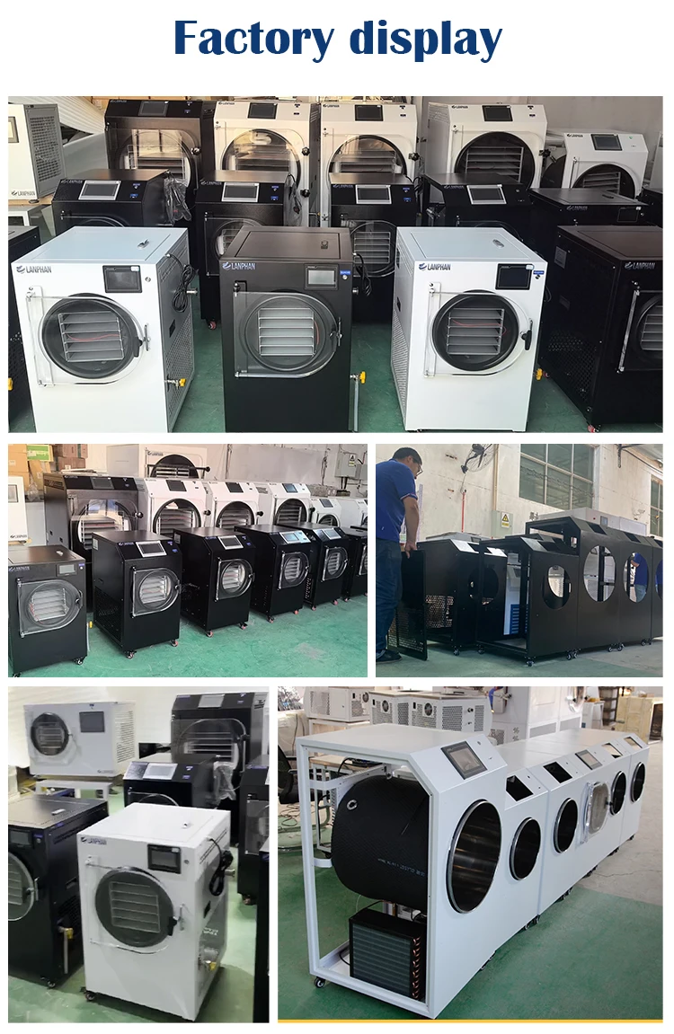 LANPHAN for Home Pro Commercial 14 Trays HFD-40 Fruit Vegetable Freeze Dryer Vacuum Sublimation Freeze Drying Food Processing