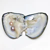 twins(Two pearls per oyster)