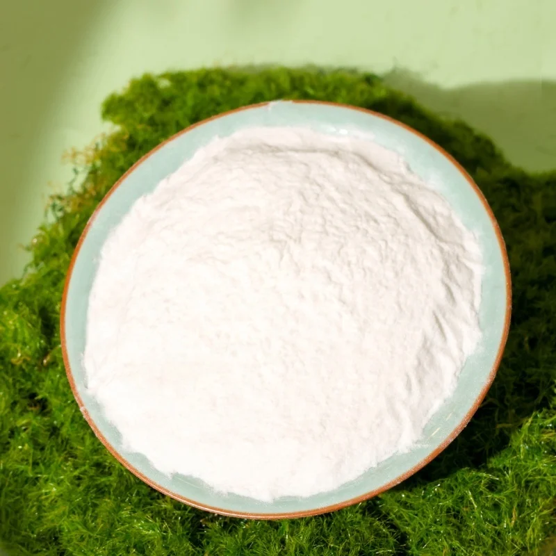 High Quality Spicule Powder Hydrolyed Spicules Microdermabrasion Powder ...