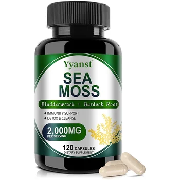 Private Label 2000Mg Sea Moss Capsules Supports Joint Health Promotes Digestion Improves Mood & Energy Levels Boost Immunity