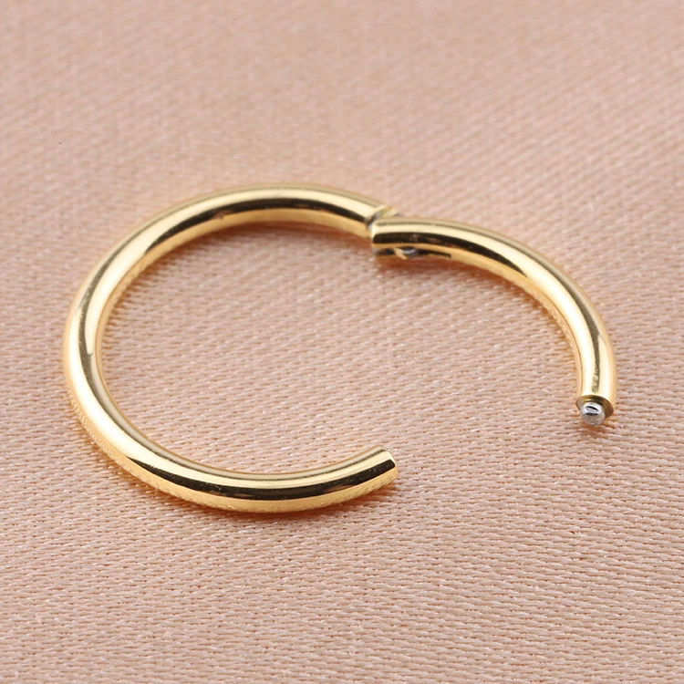 Wholesale F136 Titanium Nose Ring Ear Helix Tragus Ring Gold Hinged Segment Ringsdesigner Nose Ring Hoop