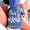 Paris bleu