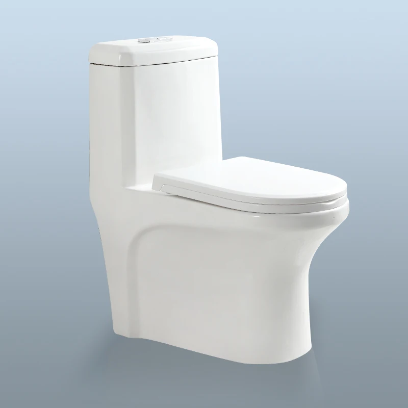 Modern Bathroom Floor Mounted Dual Flush WC Ceramic One Piece Water Closet Toilet