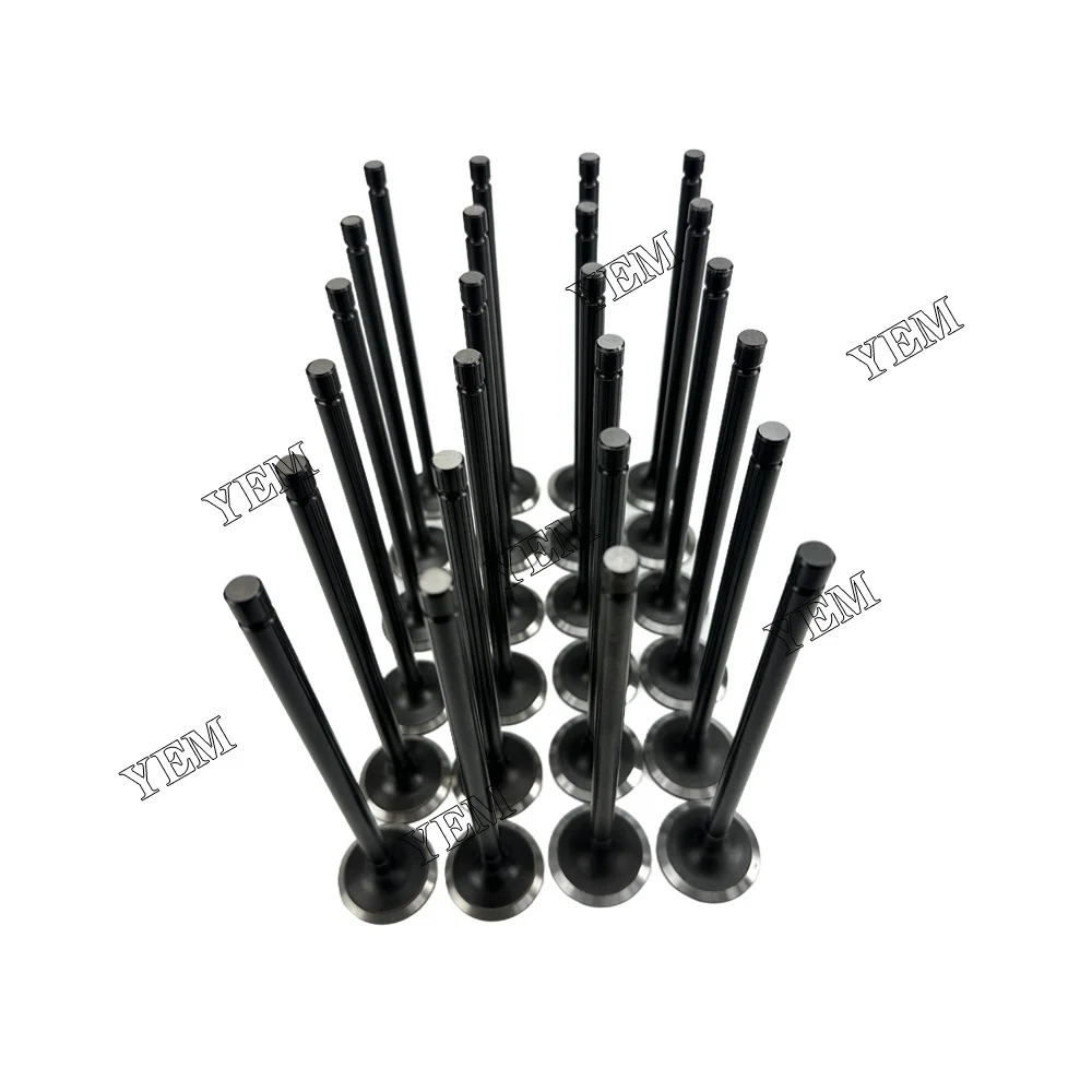 Exhaust Intake Valve Fit for Hyundai D6CB Engine 6