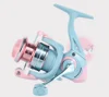Coppa universale Blue Cherry 3000m
